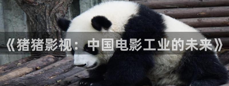 yy6090青苹果影院手机版：《猪猪影视：中国电影工业的未来》