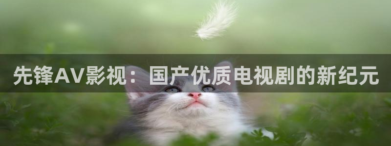 yy6090私人影院：先锋AV影视：国产优质电视剧的新纪元