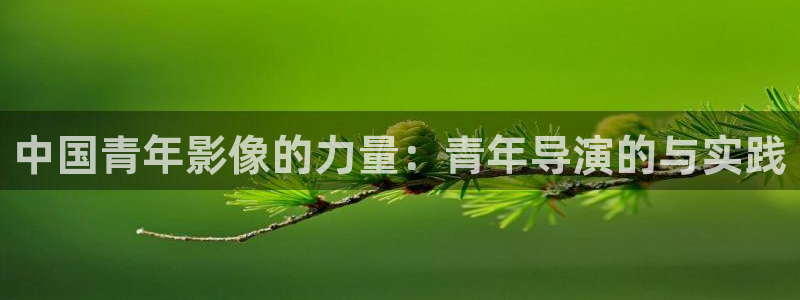 yy6090新视觉影院：中国青年影像的力量：青年导演的与实践