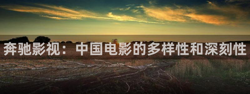 yy6090高清影院青苹果：奔驰影视：中国电影的多样性和深刻性