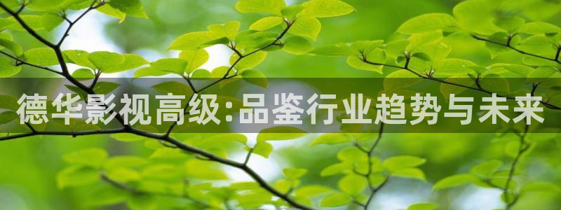 青苹果电影院yy6090：德华影视高级:品鉴行业趋势与未来
