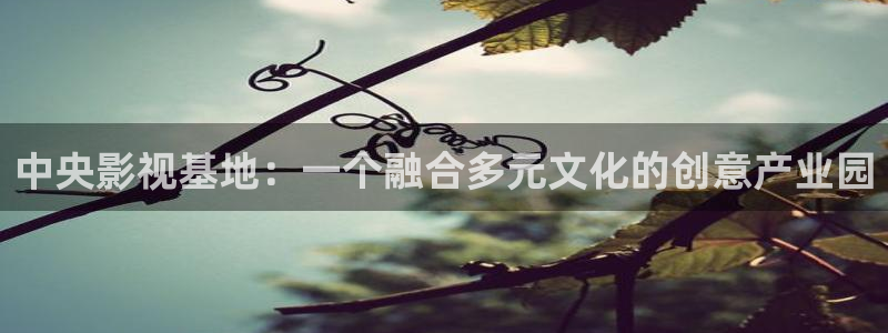 yy6090首播影院：中央影视基地：一个融合多元文化的创意产业园