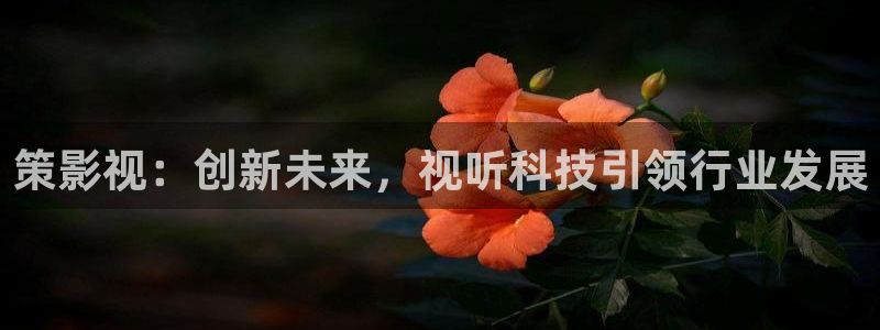 yy6090青苹果影院：策影视：创新未来，视听科技引领行业发展