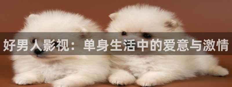 yy6090青苹果手机影院：好男人影视：单身生活中的爱意与激情